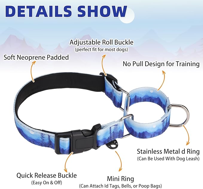 KOOLTAIL Martingale Collar for Dogs,Soft Padded Nylon Heavy Duty Dog Collar for Small Medium Large Dogs,Adjustable No Pull Durable Wide Puppy Training Collar With Pattern Design for Boys Girls, Blue S