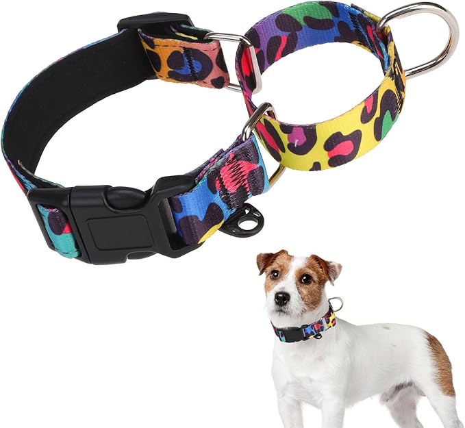 KOOLTAIL Martingale Collar for Dogs, Soft Padded Nylon Heavy Duty Dog Collar for Small Medium Large Dogs, Adjustable No Pull Durable Wide Puppy Training Collar with Pattern Design for Boys Girls, M