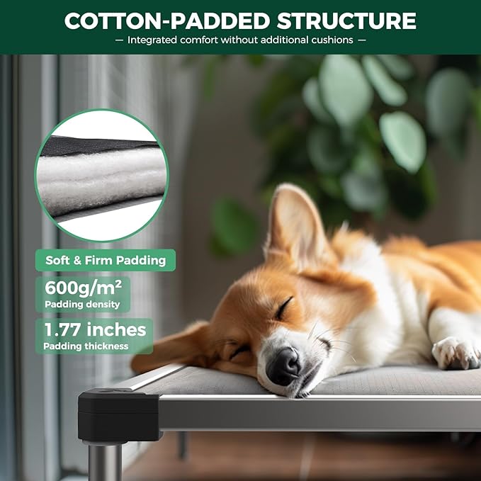 FXW TitanNest Chew-Proof Elevated Dog Bed, Raised Cot for Indoor/Outdoor/Camping Use, Durable & Washable Padded Pet Bed with Exclusive Reuseable Cover for Medium Dogs, 42.0" L x 27.0" W x 5.0" H, Gray