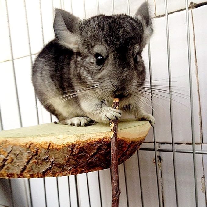 500g Apple Sticks Small Animals Molar Wood Toys for Rabbits Chinchillas Guinea Pig Hamster Gerbil Bunny and Small Animal Chew Stick Toys