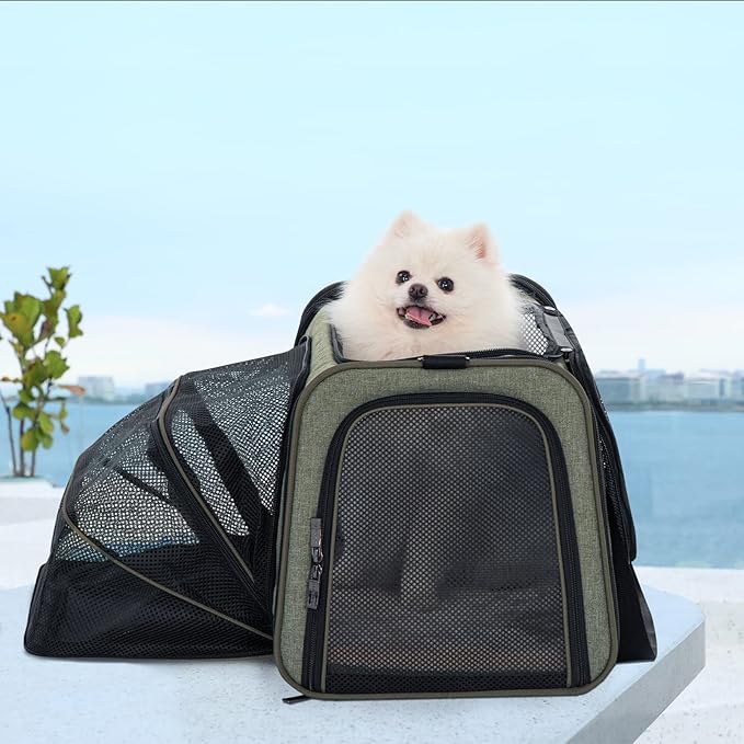 Petsfit Expandable Cat Carrier Dog Carrier, Soft-Sided Collapsible Portable Pet Carrier, 19x12x12, Green