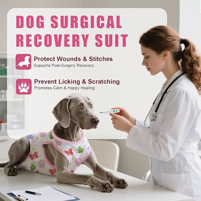 Recovery Suit for Dogs After Surgery, Professional Dog Surgical Suit for Female Spay, Male Neuter, E-Collar & Cone Alternative Dog Onesie for Abdominal Wounds Skin Disease, Jellyfish, XL
