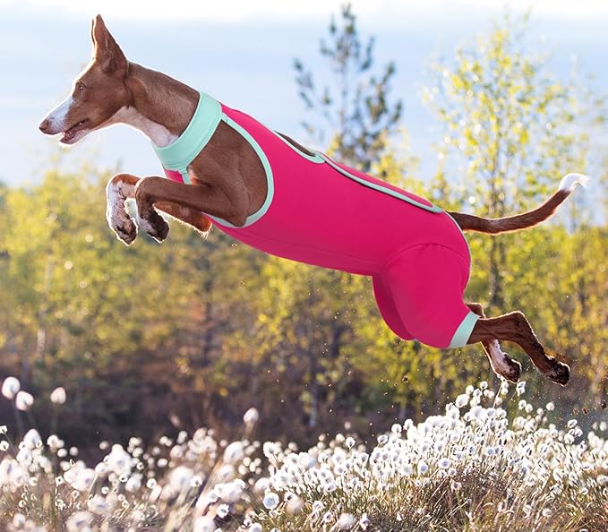 ROZKITCH Dog Surgery Leg Sleeve Rear Legs, Male Female Pet Prevent Licking Wound Elbow Knee Protector, Dog Recovery Suit Cone Collar Alternative Pants Shirt for Wound Heal Wrap Rosered 2XL