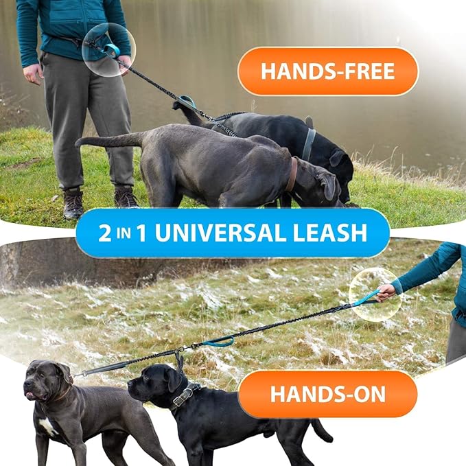SparklyPets - Hands Free Dual Dog Leash for Medium and Large Male Dogs - Padded Handles, Reflective Stitches, No Pull, Tangle Free - Walking, Hiking, Jogging, Canicross Waist Leash - Gradient Blue