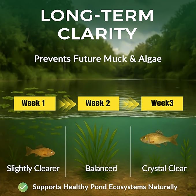 Muck Clear - 5LB Beneficial Bacteria for Ponds & Lake, Boost Enzymes, Sludge Odor Away, Outdoor Fish Pond Water Clarifier, Safe for Aquatic Life, Treats Up to 30,000 Sq Ft