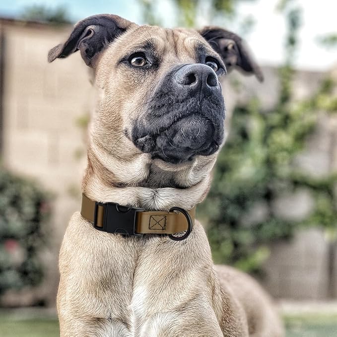 Dogline Biothane Waterproof Dog Collar with Quick Release Buckle Strong Coated Nylon Webbing with Odor- Proof for Easy Care Easy to Clean Fits Small Medium Large Dogs, Coyote Brown 3/4" W 12-19" L