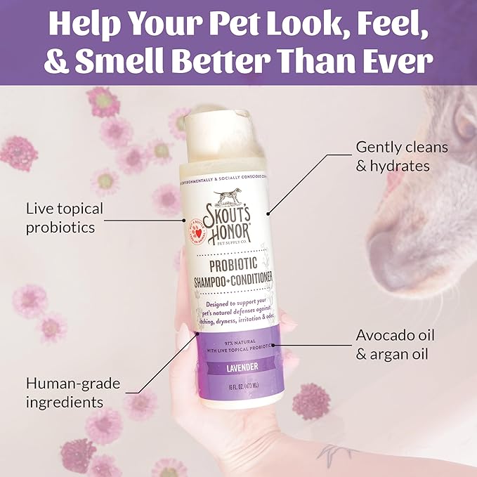 Skout's Honor Probiotic Dog Shampoo & Conditioner with Avocado Oil & Omega-3s, 97% Natural, Paraben & Sulfate-Free, Cruelty-Free, 16oz, Lavender, 2-Pack