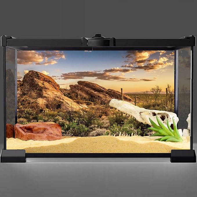 AWERT Reptile Habitat Background Blue Sky Oasis Cactus Sun and Desert Terrarium Background 36x24 inches Durable Polyester Background
