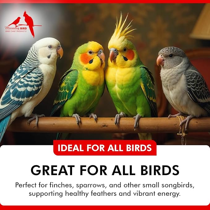 Morning Bird Calcium Plus Powder for Birds 1 oz – Calcium Carbonate Powder with Magnesium Glycinate & Vitamin D – Bone Strength & Immune Support Supplement – Calcium Formula for All Bird Sizes