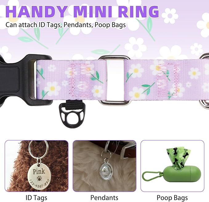 KOOLTAIL Martingale Collar for Dogs,Soft Padded Nylon Heavy Duty Dog Collar for Small Medium Large Dogs,Adjustable No Pull Durable Wide Puppy Training Collar With Pattern Design for Boy Girl, Purple M