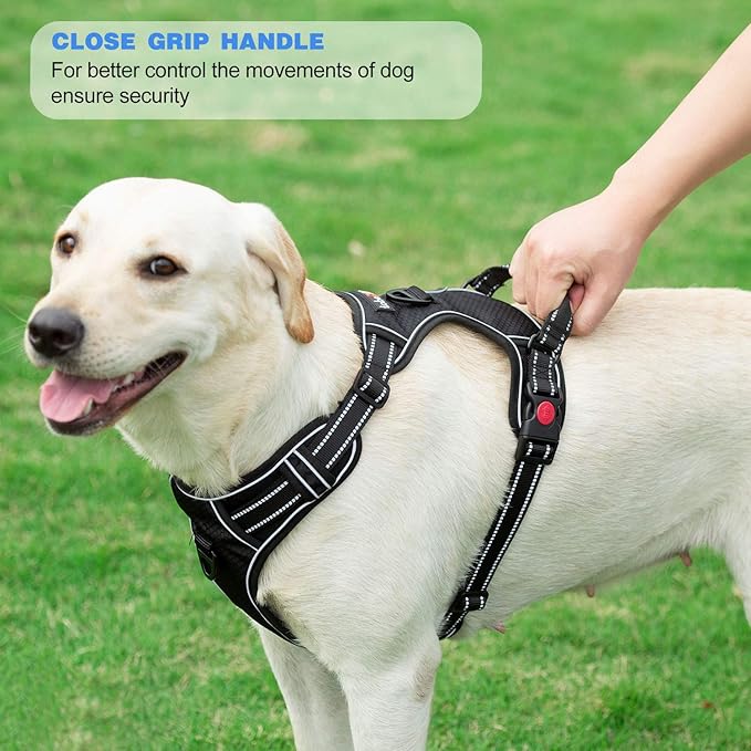 No Pull Dog Harness Adjustable Reflective Oxford Easy Control Medium Large Dog Harness with A Free Heavy Duty 5ft Dog Leash (XL (Neck: 21.5"-33", Chest: 30"-39.5"), Purple Harness+Leash)