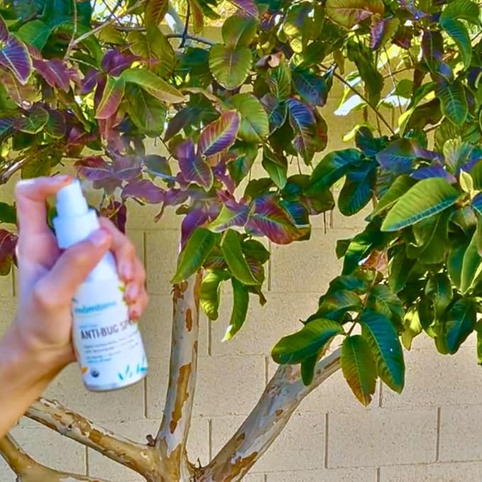 Anti-Bug Spray DEET-Free – Organic, All-Natural Bug Spray Travel Size with Essential Oils – Non-Toxic, Reef Safe, Face-Safe Bug Repellent for Babies, Kids, Adults by Mambino Organics, 2.7oz