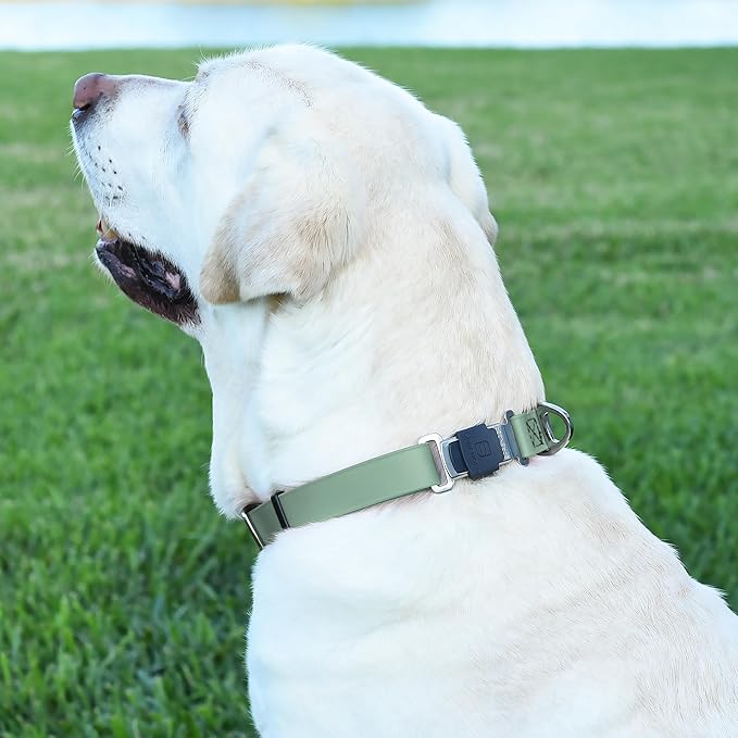 Dogline Biothane Waterproof Dog Collar with Herm Sprenger Black Stainless Steel Quick Release Buckle – Heavy Duty Tactical Durable Collar for Dogs – Comfortable, Safe Pet Collar W1 L15-25 Sage Green