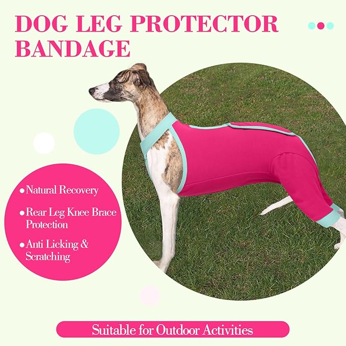 ROZKITCH Dog Surgery Leg Sleeve Rear Legs, Male Female Pet Prevent Licking Wound Elbow Knee Protector, Dog Recovery Suit Cone Collar Alternative Pants Shirt for Wound Heal Wrap Rosered 2XL