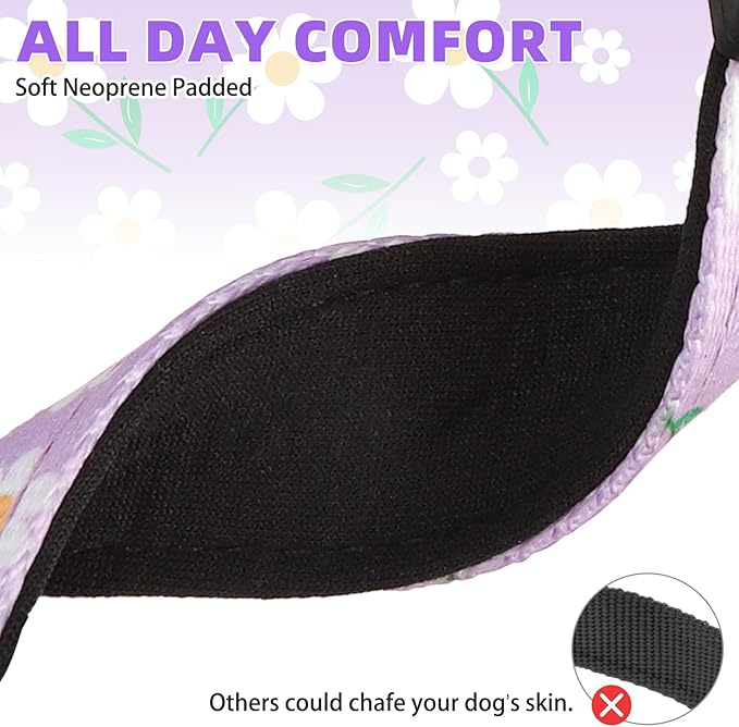 KOOLTAIL Martingale Collar for Dogs,Soft Padded Nylon Heavy Duty Dog Collar for Small Medium Large Dogs,Adjustable No Pull Durable Wide Puppy Training Collar With Pattern Design for Boy Girl, Purple M
