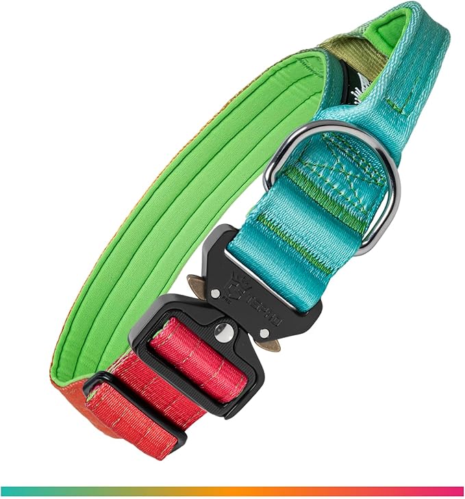 TSPRO Premium Dog Collars Tactical Dog Collar with Handle and Heavy Duty Quick-Release Metal Buckle Durable Thick and Adjustable for Medium to Large Dogs (Vitality Gradient L)