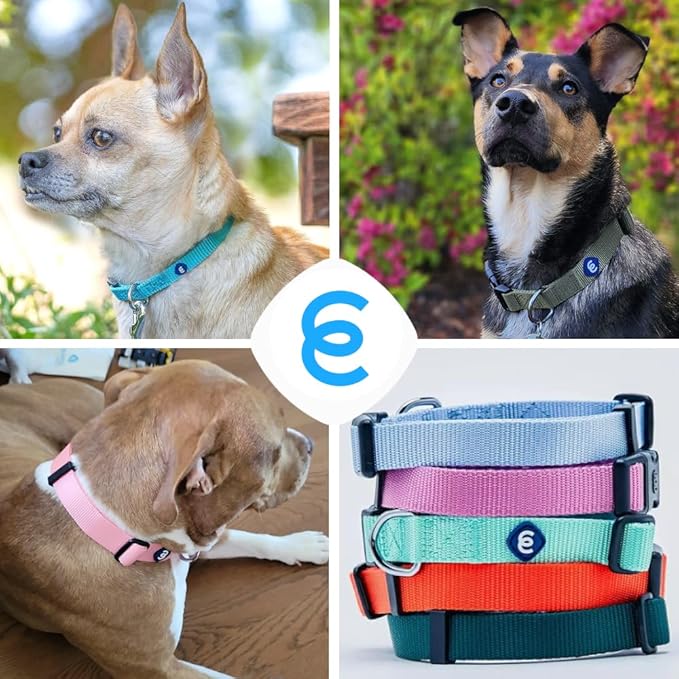 Blueberry Pet Essentials Matching Large Dog Collar | Adjustable Classic Solid Color Nylon Dog Collars for Large Dogs | Chambray Blue Dog Collar for Large Dogs