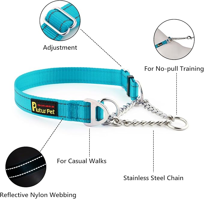Plutus Pet Martingale Dog Collar with Stainless Steel Chain and Reflective Nylon, Adjustable No Pull Training Collar, for Small Medium, and Large Dogs, Cyan, S