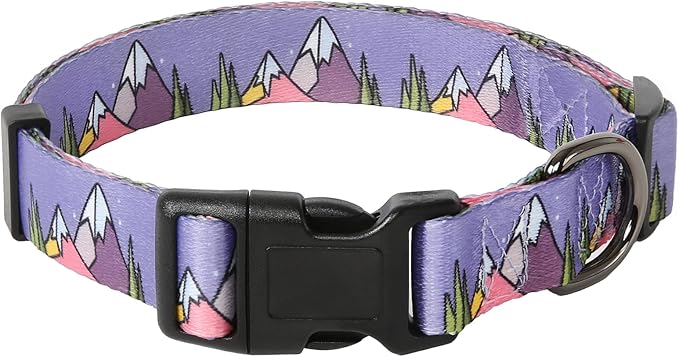 HEELE Dog Collar, Adjustable Soft Dog Collar for Small Medium Large Dogs,Floral Patterned Puppy Collars with Quick Release Buckle XS Length 8.5''-11''