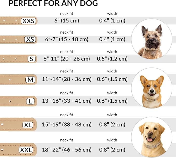 CollarDirect Rolled Leather Dog Collar, Soft Padded Round Puppy Collar, Handmade Genuine Leather Collar Dog Small Large Cat Collars 13 Colors (6-7 Inch, Beige Smooth)