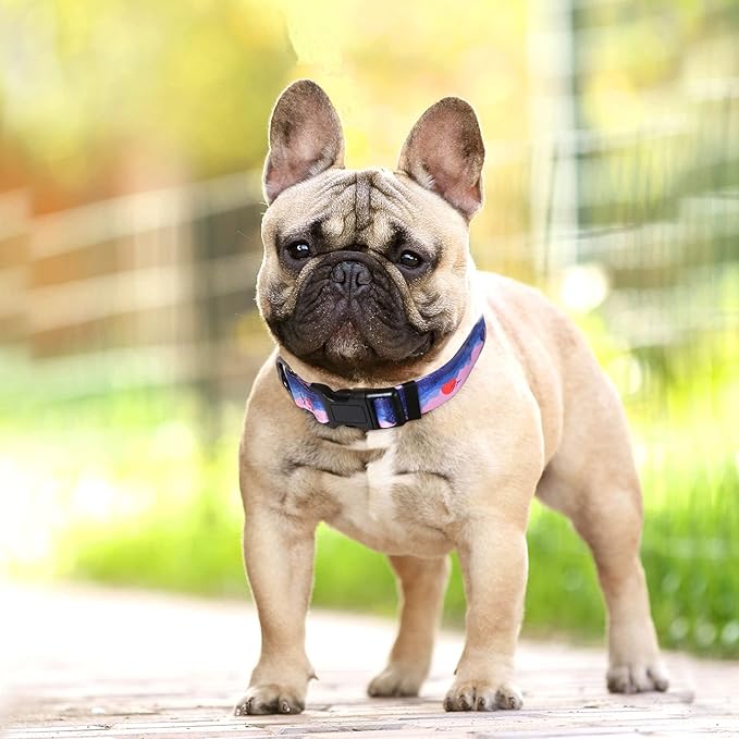 HEELE Dog Collar, Adjustable Soft Dog Collar for Small Medium Large Dogs,Floral Patterned Puppy Collars with Quick Release Buckle M Length 13.39''-20.87''