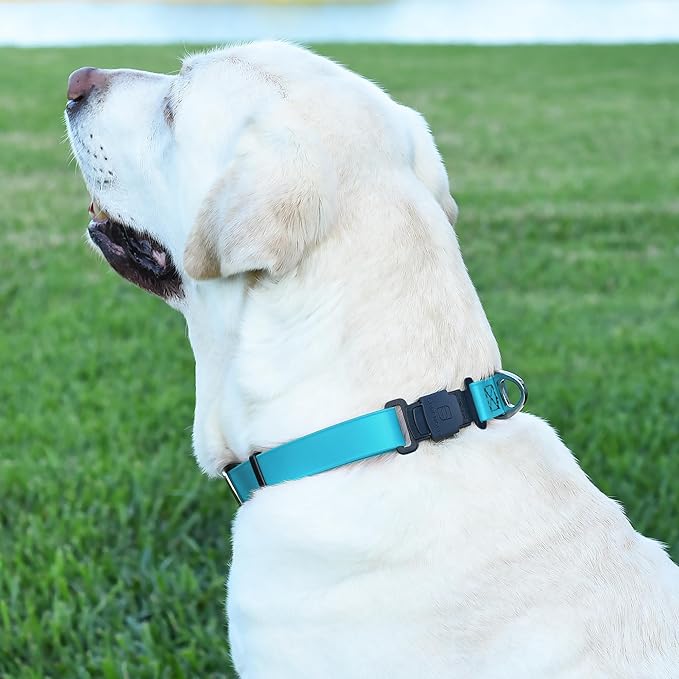 Dogline Biothane Waterproof Dog Collar with Herm Sprenger Black Stainless Steel Quick Release Buckle – Heavy Duty Tactical Durable Collar for Dogs – Comfortable and Safe Pet Collar W1 L15-25 SkyBlue