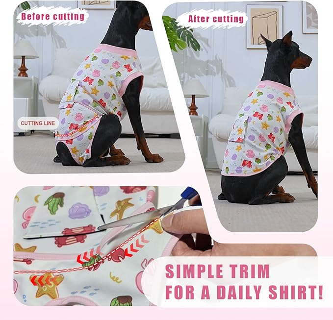 Recovery Suit for Dogs After Surgery, Professional Dog Surgical Suit for Female Spay, Male Neuter, E-Collar & Cone Alternative Dog Onesie for Abdominal Wounds Skin Disease, Fruit, XL