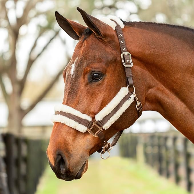 Equinavia Valkyrie Soft Ultra Fleece Padded Adjustable Breakaway Horse Halter - Brown/Ivory White - Warmblood