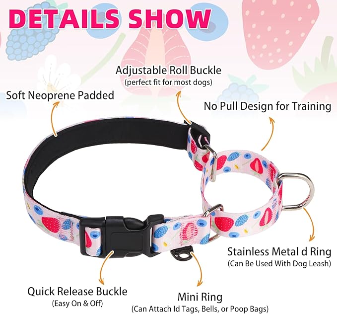 KOOLTAIL Martingale Collar for Dogs,Soft Padded Nylon Heavy Duty Dog Collar for Small Medium Large Dogs,Adjustable No Pull Durable Wide Puppy Training Collar With Pattern Design for Boys Girls, Pink M