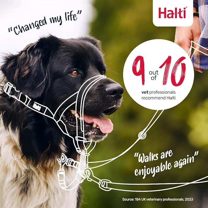 HALTI Headcollar - to Stop Your Dog Pulling on The Leash. Adjustable, Reflective and Lightweight, with Padded Nose Band. Dog Training Anti-Pull Collar for Medium Dogs (Size 2, Forest Green)