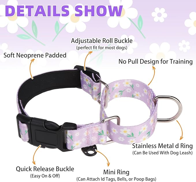 KOOLTAIL Martingale Collar for Dogs,Soft Padded Nylon Heavy Duty Dog Collar for Small Medium Large Dogs,Adjustable No Pull Durable Wide Puppy Training Collar With Pattern Design for Boy Girl, Purple M