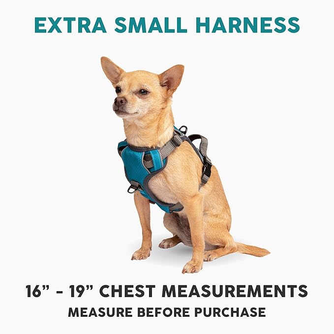Embark Adventure Dog Harness, No-Pull Reflective Trim Dog Harness for Small, Medium & Large Dogs - Military Grade Nylon, 2 Leash Clips & Gel Lined Handle. Soft & Padded Puppy Dog Vest for Any Breed