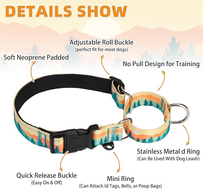 KOOLTAIL Martingale Collar for Dogs,Soft Padded Nylon Heavy Duty Dog Collar for Small Medium Large Dogs, Adjustable No Pull Durable Wide Puppy Training Collar with Pattern Design for Boys Girls, L