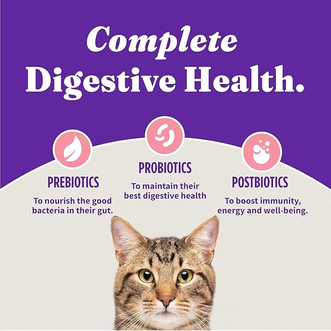 Halo Holistic Cat Food Wild Caught Salmon & Whitefish Formula, Healthy Grains Dry Cat Food, Complete Digestive Health, Kibble for Adult Cats, 3 lb Bag