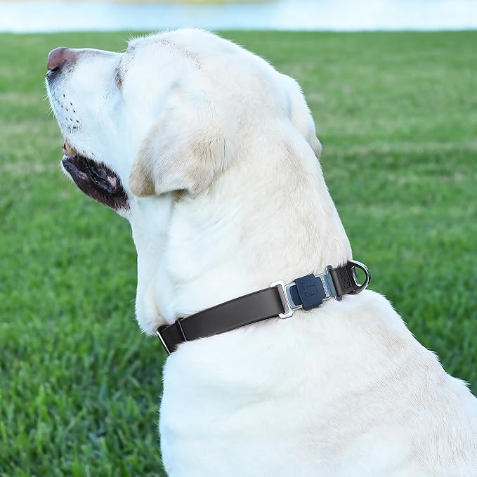 Dogline Biothane Waterproof Dog Collar with Herm Sprenger Stainless Steel Quick Release Buckle – Heavy Duty Tactical Durable Collar for Dogs – Comfortable and Safe Pet Collar, W 1" L 15-25", Black