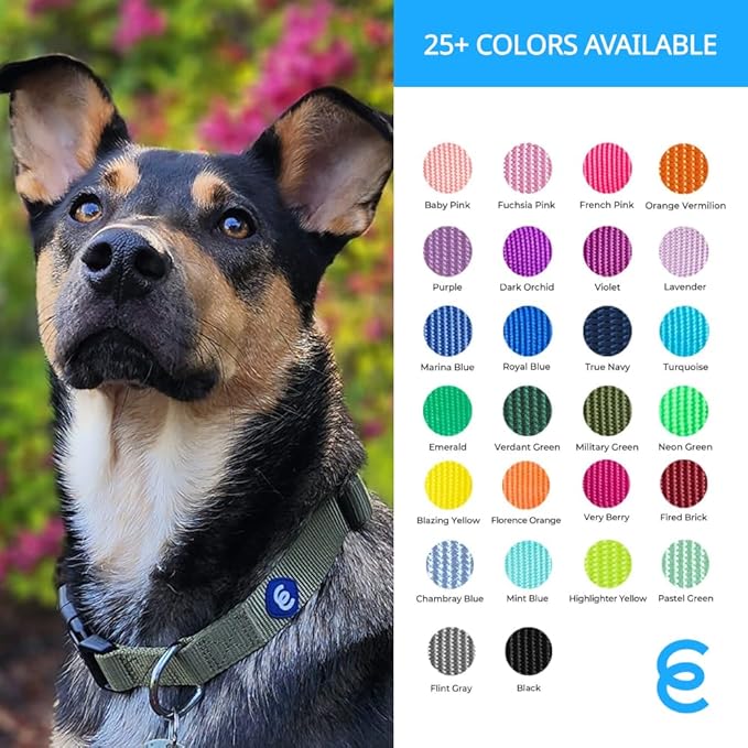Blueberry Pet Essentials Matching Adjustable & Durable Classic Solid Color Nylon Dog Collars for Medium Dogs | Highlighter Yellow Collar Medium Girl and Boy Dogs for Pet Owner