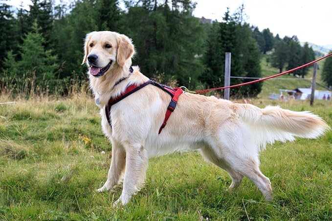 LWBMG Leather Dog Leash 8ftx1/2 inch, Heavy Duty Dog Leash, Strong and Sturdy Leather Braided Dog Leash, Soft and Comfortable Leather Leash for Medium Large Dogs Training and Walking Red