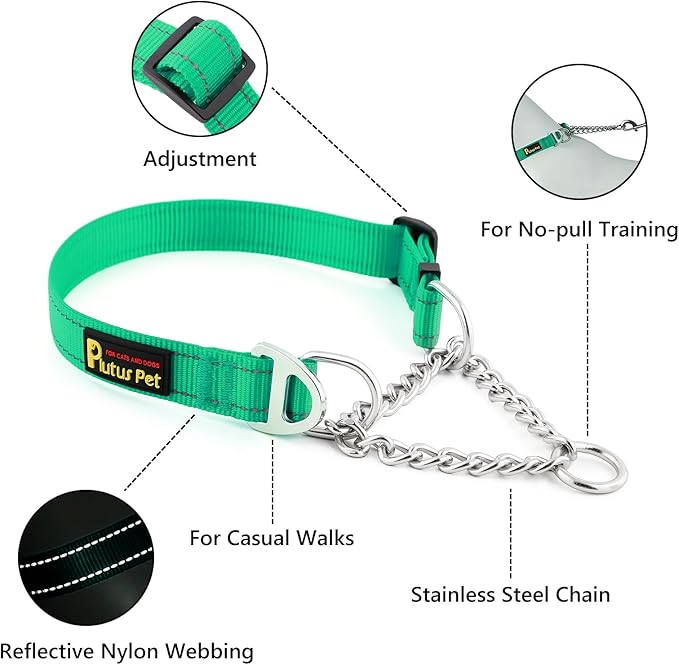 Plutus Pet Martingale Dog Collar with Stainless Steel Chain and Reflective Nylon, Adjustable No Pull Training Collar, for Small Medium, and Large Dogs, Green, S