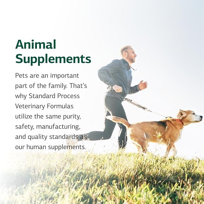 Standard Process Inc. Feline Whole Body Support - Nutritional Cat Supplement for Multisystem Support - Feline Daily Maintenance Supplement - 90 Tablets