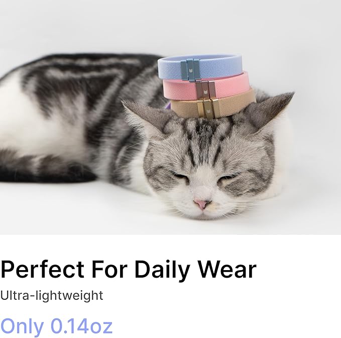Safety Cat Collar - U.S. IDA Gold Awarding Design, Stretch Non Breakaway Elastic Quick Release, Light Weight Adjustable for Kitten, Neck Fit 7.8'-15.7' for All Small Large Cats,M(Blurple)