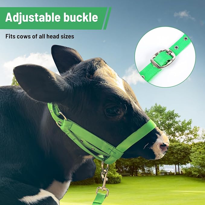 XUANNIAO Easily Adjustable Figure 8 Cow Halter, Double-Ply Premium Livestock Cattle Halters, Colorful Cow Utility Calf Halter with Leading Rope for Miniature Horse Donkey Goat Foal (Large, Green)