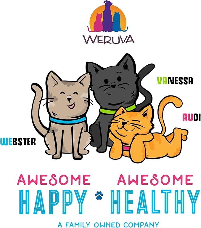 Weruva B.F.F. OMG - Best Feline Friend Oh My Gravy!, Chicken & Lamb Live N' Love with Chicken & Lamb in Gravy, 2.8oz Can (Pack of 12)