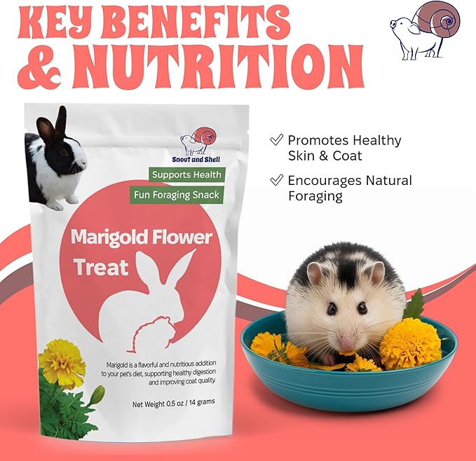 Snout and Shell Floral Favorites 4-in-1 Natural Treats for Small Pets – Pea Flakes, Marigold, Rose Petals & Hibiscus – Healthy Snacks for Rabbits, Guinea Pigs, Chinchillas & More