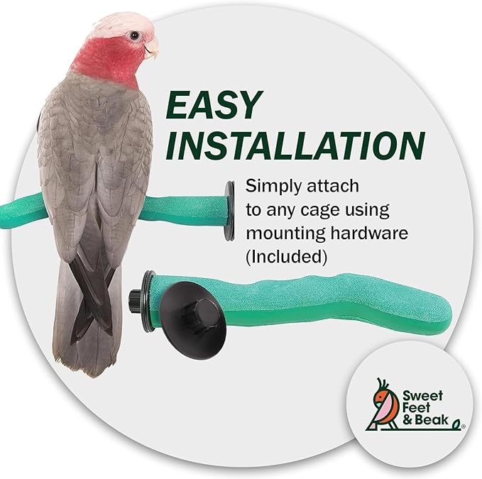Sweet Feet & Beak Safety Pumice Bird Perch, X-Large 2-1/4" X 14", Blue - Lightweight Grinding Bird Perches for Cage - Bird Nail Trimming Perch for Healthy Beak & Feet - Multi-Size & Color Parrot Stand