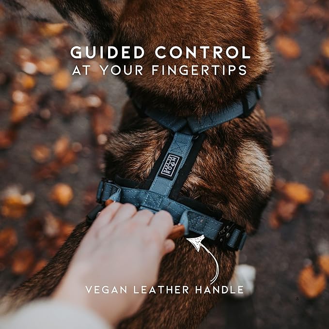MADE TO ROAM Premium Explorer Harness - Y-Shaped Dog Harness with Adjustable Durable Nylon, Soft Padding, Metal Buckles and Leather Handle for Small, Medium, Large Dogs (Washington Rain, Size 1)