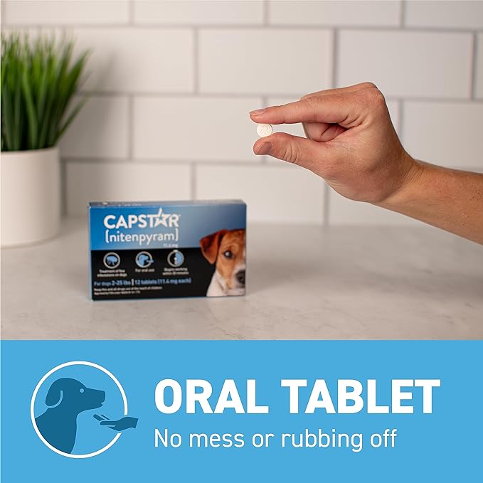 Capstar(nitenpyram) for Dogs Fast-Acting Oral Flea Treatment for Dogs ...