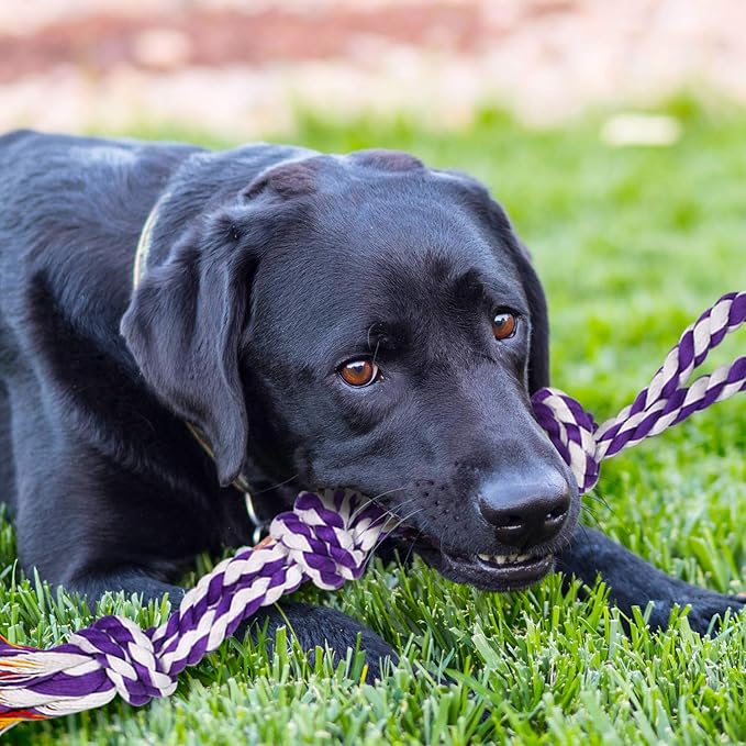Large Tough Chew Toys for Aggressive Chewers Large Breed,Heavy Duty Dental Rope Toys Kit for Medium Dogs,5 Knots Indestructible Cotton Puppy Teething Chew Tug Toy Set of 9