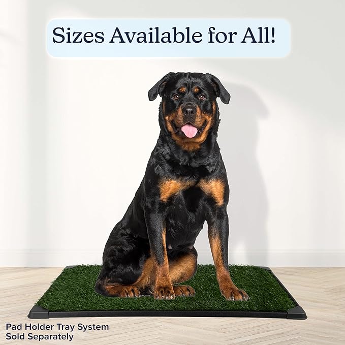 Set of 3 Reusable Pee Pads for Dogs - 41x27in Replacement Artificial Dog Grass - Washable Dog Housebreaking Supplies for Puppy Training by PETMAKER