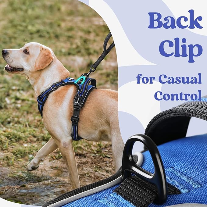 rabbitgoo Dog Harness for Large, No Pull Pet Harness with 3 Buckles, Adjustable Soft Padded Vest with Control Handle, Walking Reflective Pet Vest for Large Dogs, Blue, L