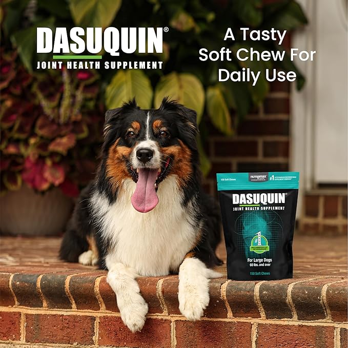 Nutramax Dasuquin for Large Dogs, Joint Health Supplement, Contains Glucosamine for Dogs, Plus Chondroitin, ASU and More, Supports Healthy Joints, Soft Chews, 150 Count